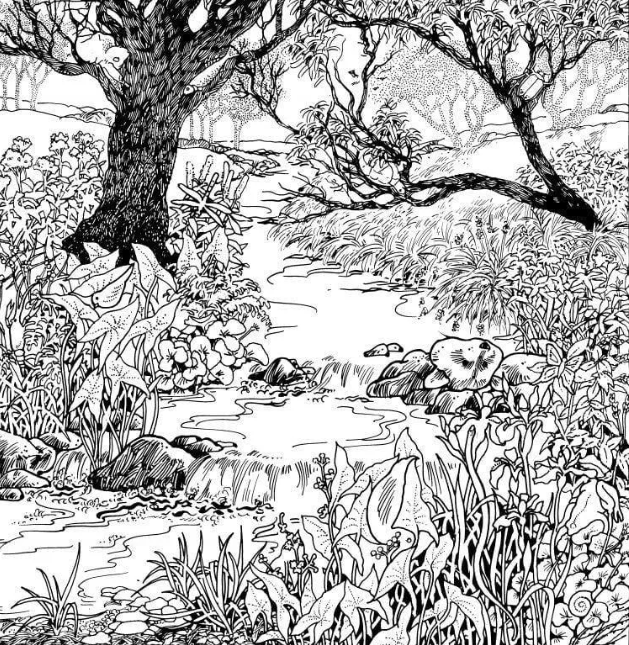 imagen blanco y negro