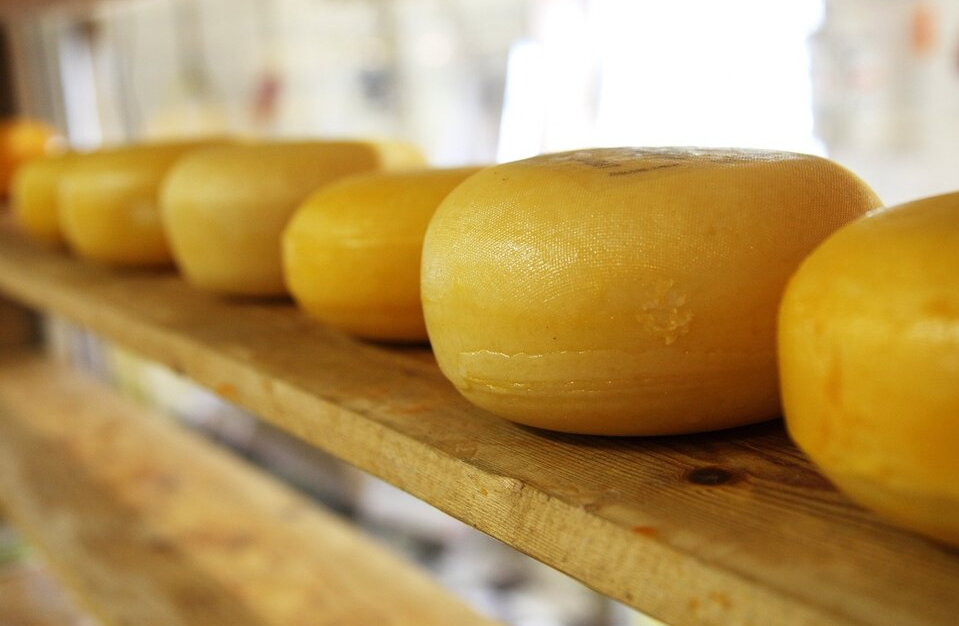 queso
