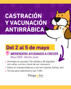 veterinaria
