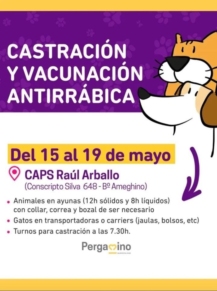 veterinaria