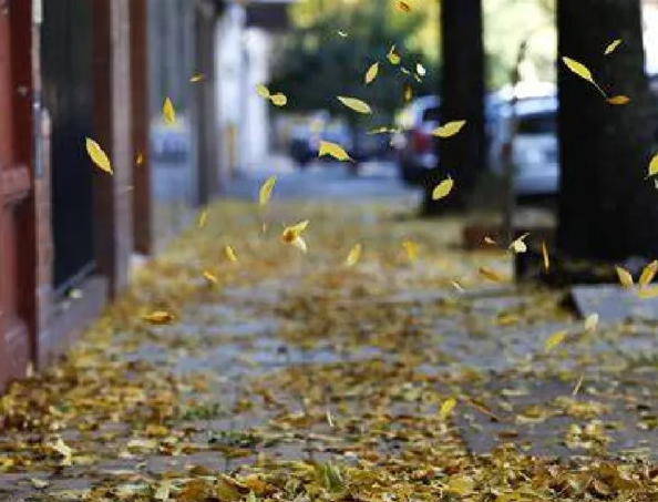 otoño