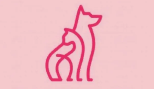 responsable