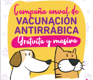 campaña