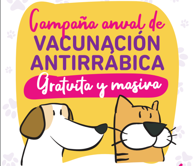 campaña