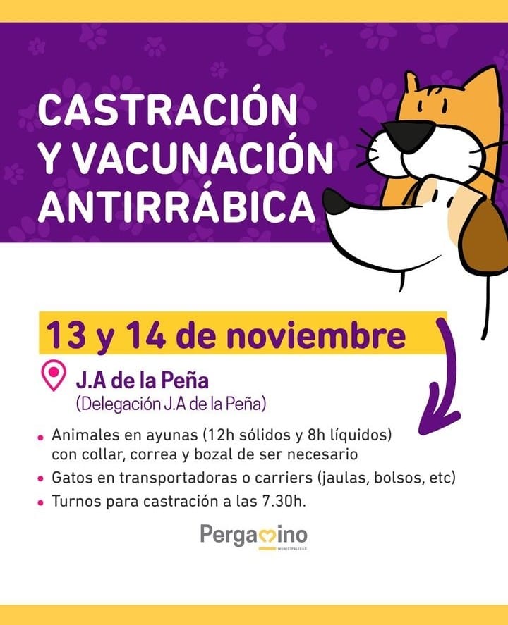 veterinaria