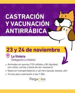 veterinaria