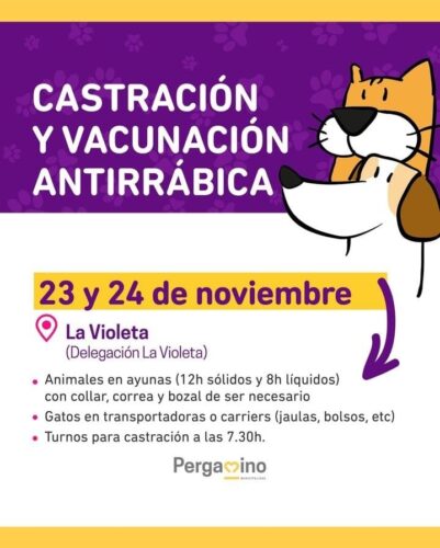 veterinaria