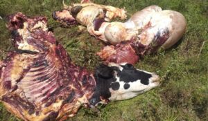 20231214152110_whatsapp-image-2023-12-14-at-15-16-47