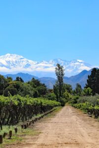 entre-vinedos-y-montanas-nuevos-sabores-para-BDHQ5XEZJRFOZLWTRSBHBWNKKU