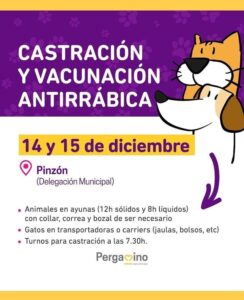 veterinaria