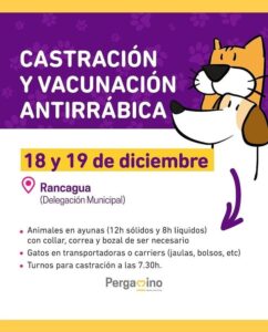 veterinaria