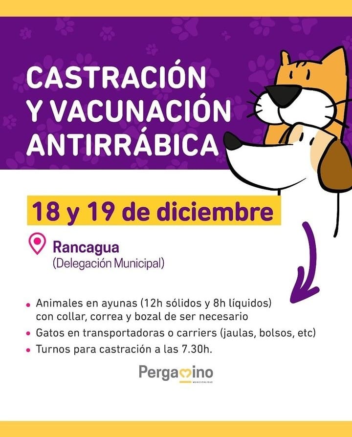 veterinaria