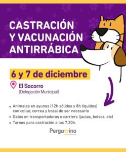 veterinaria