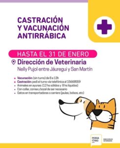 veterinaria