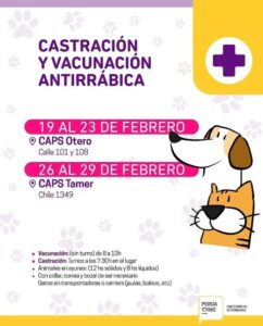 veterinaria