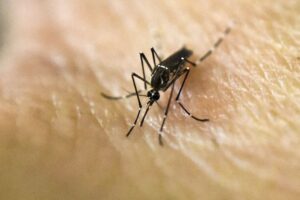 a-traves-la-secretaria-salud-compartieron-informacion-los-vecinos-todos-los-detalles-tener-cuenta-el-dengue