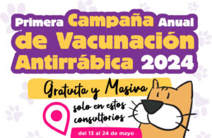 campaña tapa