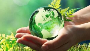 Semana del Ambiente 2024 tapa