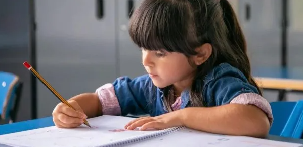 educacion