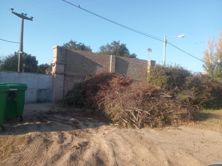 trabajo tapa