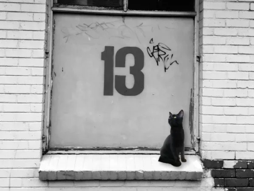 13