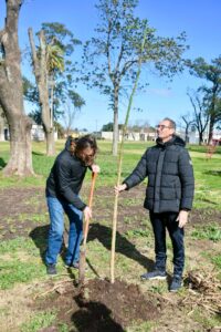 arbol