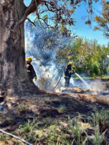 bomberos tappaa
