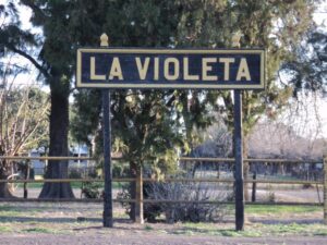 violeta tapa