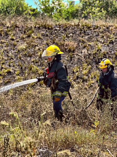 incendio tapa