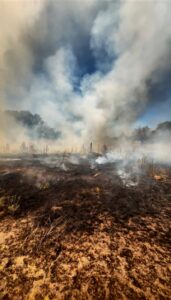 incendio tapa