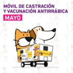 Pergamino – Conoce el cronograma del móvil de Veterinaria en mayo 
