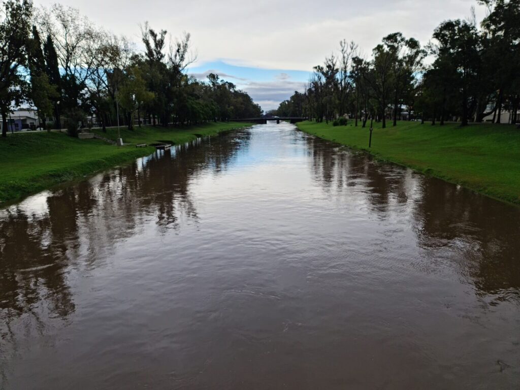 temporal-tapa