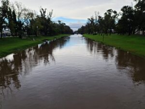 temporal-tapa