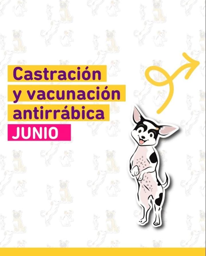 vete