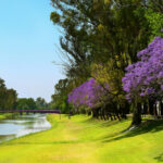 PERGAMINO: LLEGA “VIBRA”, UN EVENTO AL AIRE LIBRE PARA CELEBRAR EL AMOR