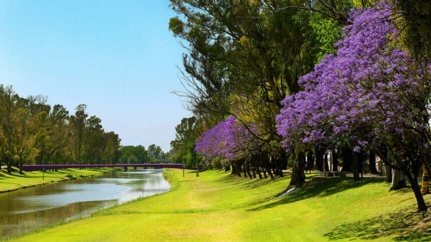 Arroyo-y-terraplen-8-860x484