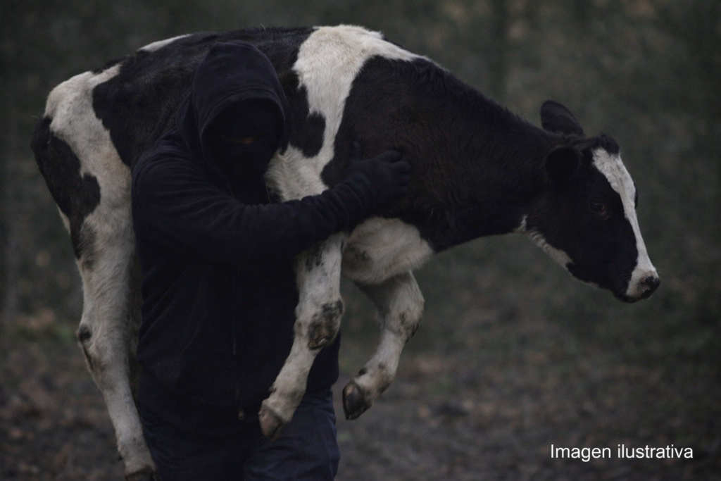 file_000000001218720eb0dfa911160074f7