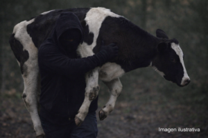 file_000000001218720eb0dfa911160074f7