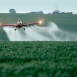 Agrotoxicos: Amenazaron a un Juez de Pergamino