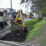 Pergamino-Continúan los trabajos de mantenimiento y limpieza de desagües pluviales