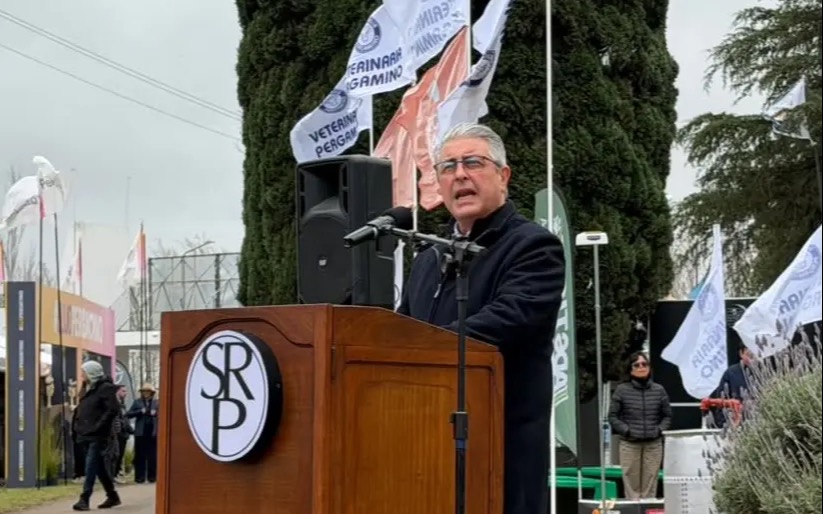 martinez
